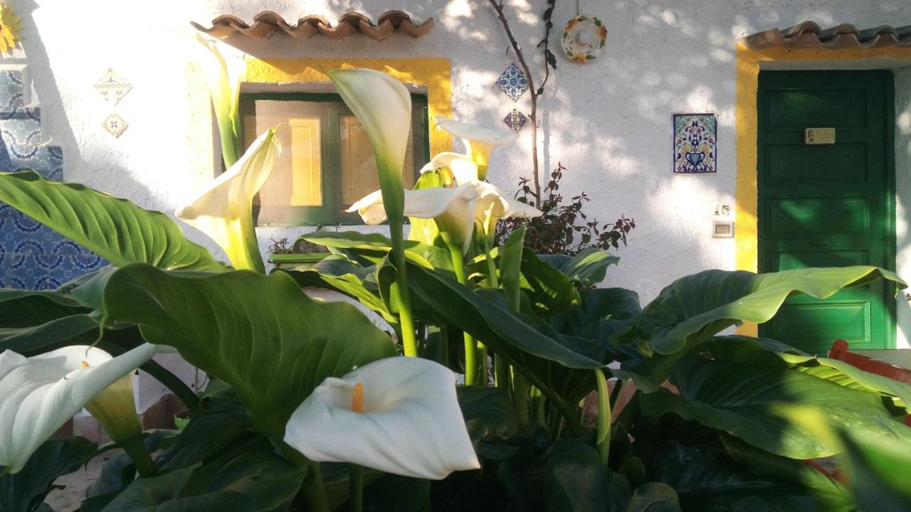 Zagara Di Sicilia Villa มาร์ซาลา ภายนอก รูปภาพ